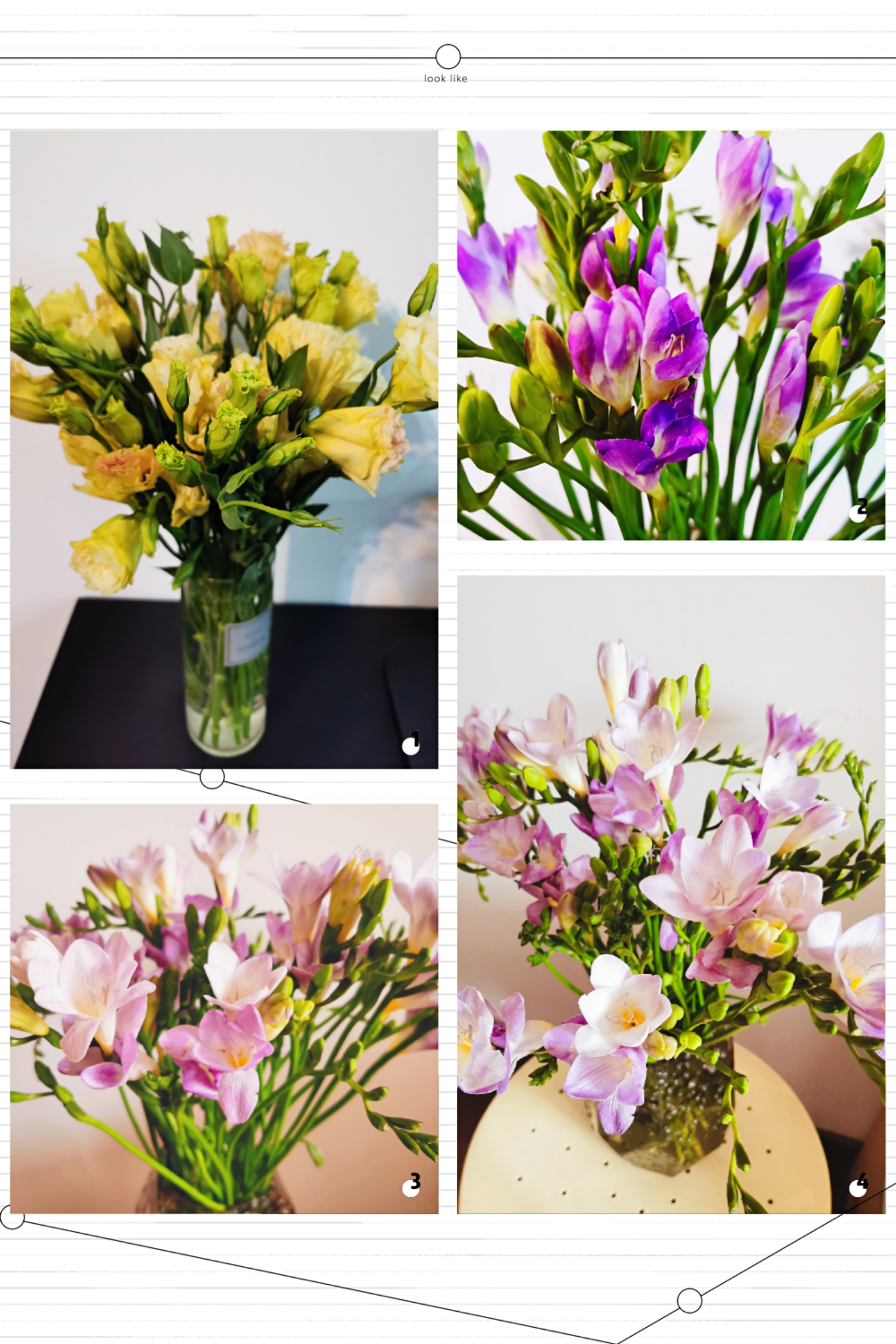 Happy Women’s Day | 戰(zhàn)疫時期，這個三八節(jié)，我們“e”起過！